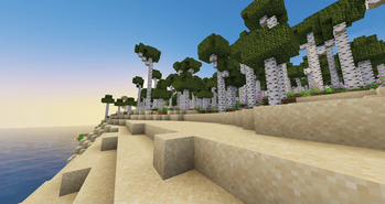 birch beach