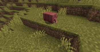 A Red Armadillo