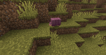 A Purple Armadillo