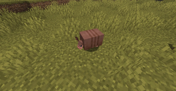 A Brown Armadillo