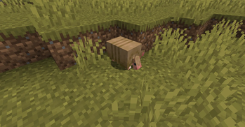 A Yellow Armadillo