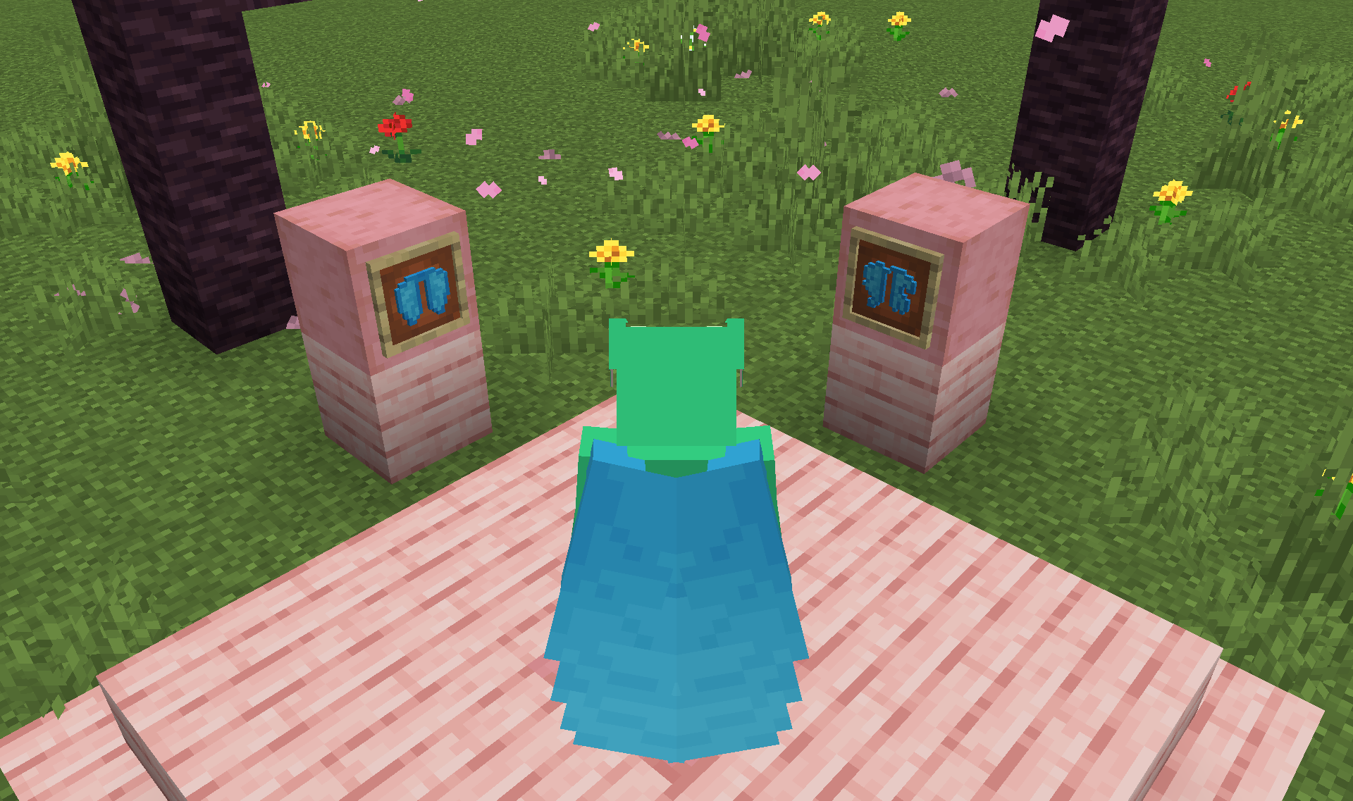 Screenshot demonstrating Resource Pack