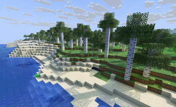 Birch by the Beach
