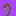 Dead ahh flower ( orange tulip )