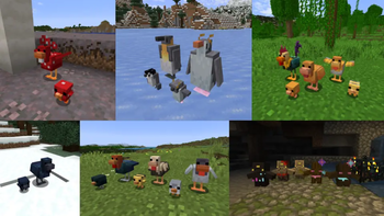 Chicken Variants