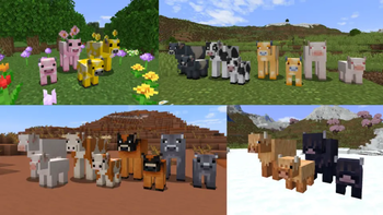 Cow Variants