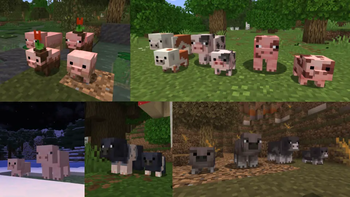 Pig Variants