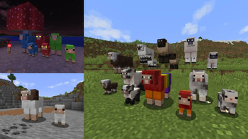 Sheep Variants