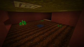 Farm Room