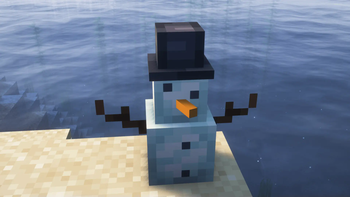 Lil' Snowman enjoying a beach day!