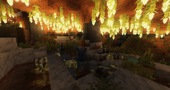 Biomes 1