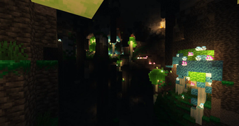 Biomes 2