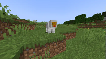 Sheep_