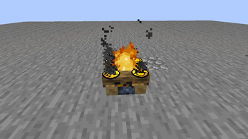 cooking