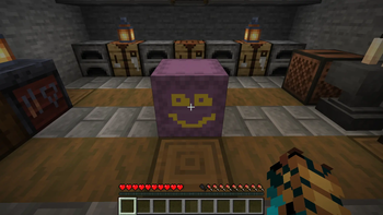 Painted Shulker Box