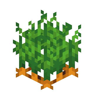 Alkapaa