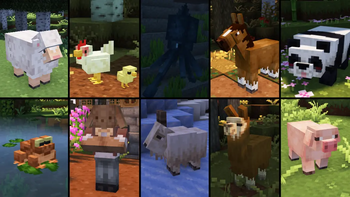 Animals
