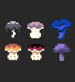 MoreMushrooms