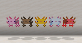 All the 5 variants