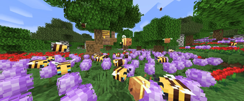 a bunch of bees