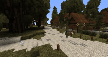The village