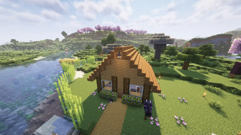Stupid Small Wooden House