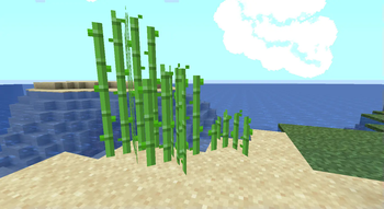 Realistic SugarCane