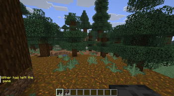 Good luck, dying to a Wither...