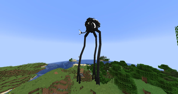 Tripod