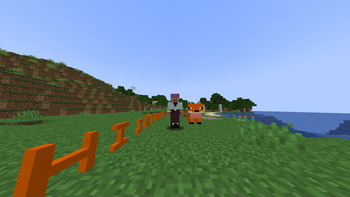 Fox and letters