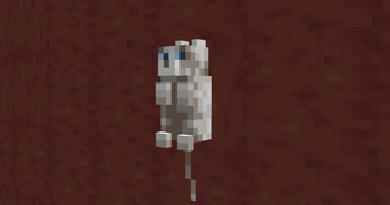 Ragdoll
