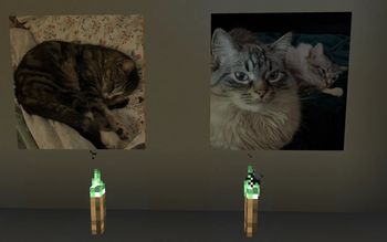 Pet Paintings