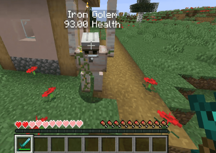 Was knocked away by an iron golem