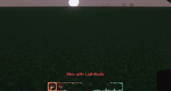 name + inventory (Niko with lightbulb)