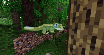 Crescent Gecko In The Jungle
