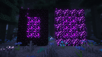 Nether and Nightworld portals