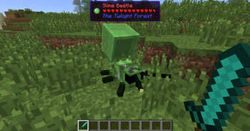 Mob info