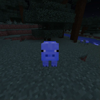 The **Kind** Pig