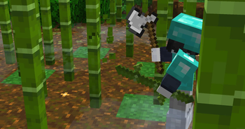 Chopping bamboo with an axe