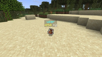 Bundled Item