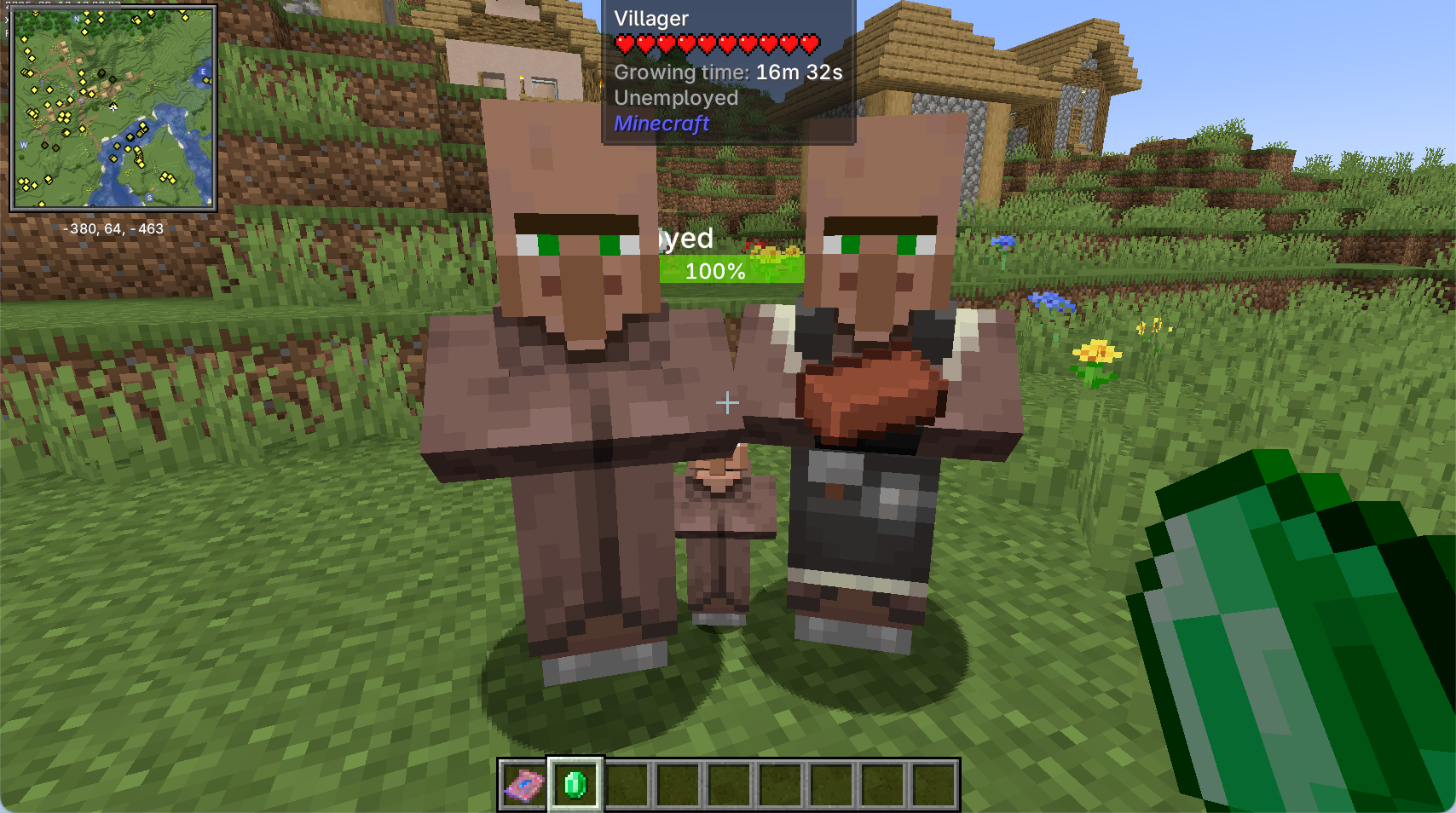 Villagers attracted by emeralds