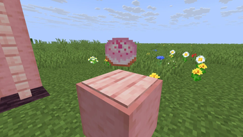 Dropped Item
