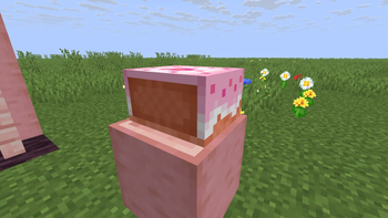 Eaten Cake