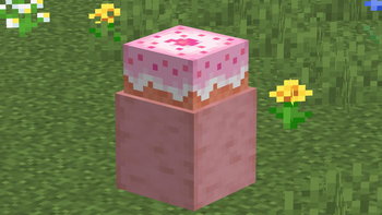 Zoomed in on Cake