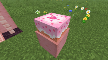 Block close-up