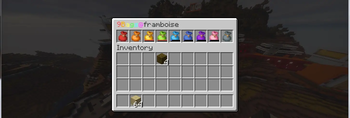 Ninebags inventory view