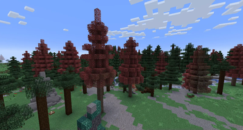 Forested Highlands