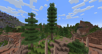 Stony Spires