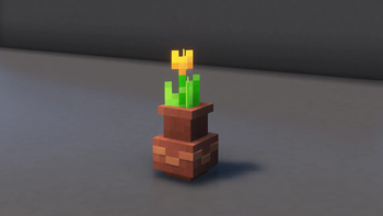 Potted Orange Tulip