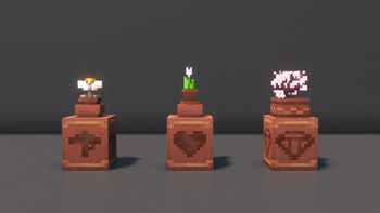 Decorated Pots with Flower Pots